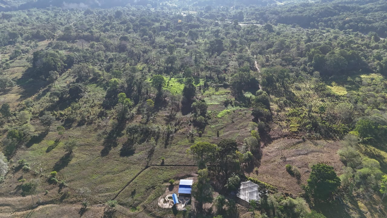 Wide shot of Hacienda La Porcelana under native canopy shade